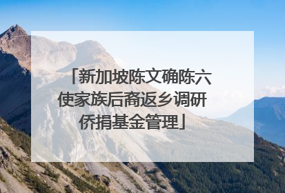 新加坡陈文确陈六使家族后裔返乡调研侨捐基金管理