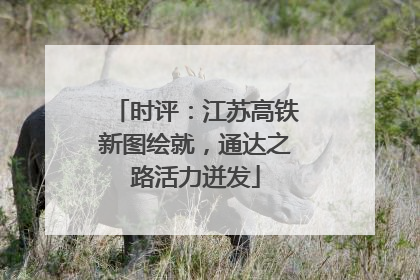 时评：江苏高铁新图绘就，通达之路活力迸发