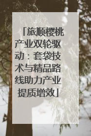 旅顺樱桃产业双轮驱动：套袋技术与精品路线助力产业提质增效