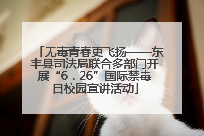 无毒青春更飞扬——东丰县司法局联合多部门开展“6．26”国际禁毒日校园宣讲活动