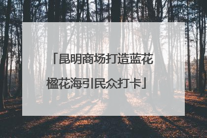 昆明商场打造蓝花楹花海引民众打卡