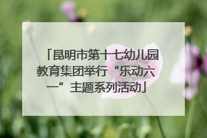 昆明市第十七幼儿园教育集团举行“乐动六一”主题系列活动