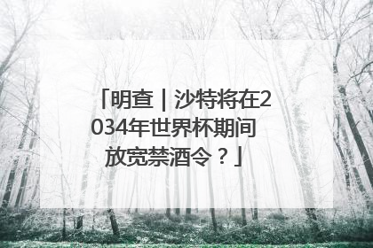 明查｜沙特将在2034年世界杯期间放宽禁酒令？