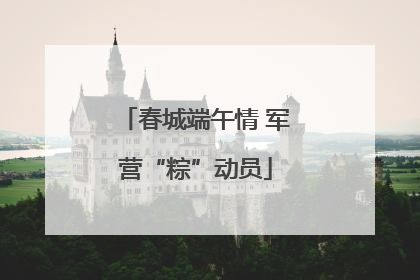 春城端午情 军营“粽”动员