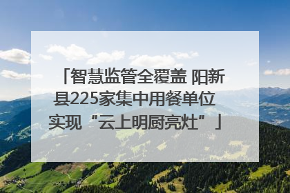 智慧监管全覆盖 阳新县225家集中用餐单位实现“云上明厨亮灶”