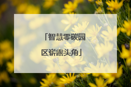 智慧零碳园区崭露头角