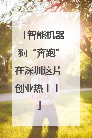 智能机器狗“奔跑”在深圳这片创业热土上