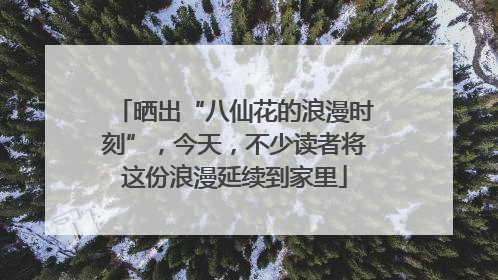 晒出“八仙花的浪漫时刻”，今天，不少读者将这份浪漫延续到家里