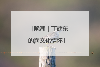 晚潮｜丁建东的渔文化情怀