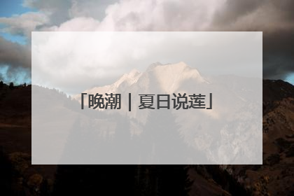 晚潮｜夏日说莲
