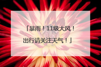 暴雨！11级大风！出行请关注天气！