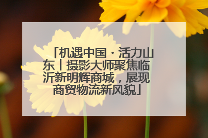 机遇中国・活力山东丨摄影大师聚焦临沂新明辉商城，展现商贸物流新风貌