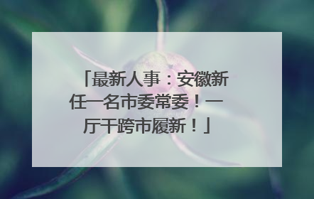 最新人事：安徽新任一名市委常委！一厅干跨市履新！