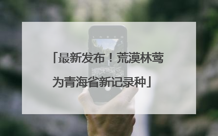最新发布！荒漠林莺为青海省新记录种