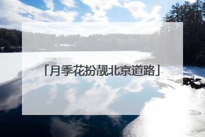月季花扮靓北京道路