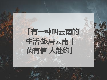 有一种叫云南的生活·旅居云南｜菌有信 人赴约
