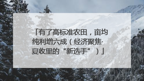 有了高标准农田，亩均纯利增六成（经济聚焦·夏收里的“新选手”）