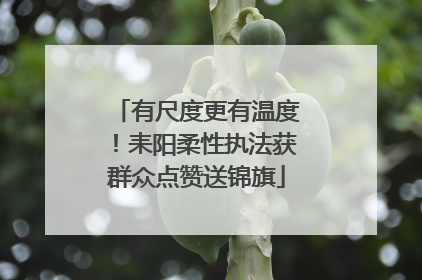 有尺度更有温度！耒阳柔性执法获群众点赞送锦旗