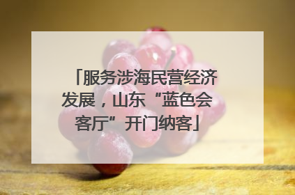 服务涉海民营经济发展，山东“蓝色会客厅”开门纳客