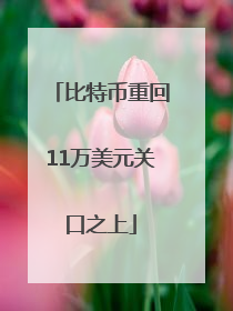 比特币重回11万美元关口之上