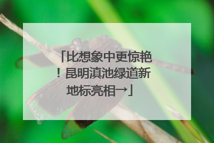 比想象中更惊艳！昆明滇池绿道新地标亮相→