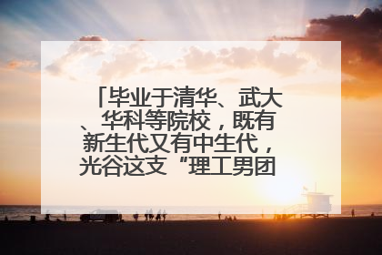 毕业于清华、武大、华科等院校，既有新生代又有中生代，光谷这支“理工男团”为何“出道”？