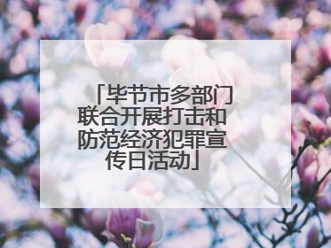 毕节市多部门联合开展打击和防范经济犯罪宣传日活动