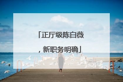 正厅级陈白薇，新职务明确