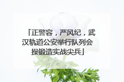 正警容，严风纪，武汉轨道公安举行队列会操锻造实战尖兵
