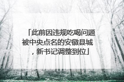 此前因违规吃喝问题被中央点名的安徽县城，新书记调整到位