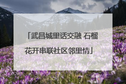武昌城里话交融 石榴花开串联社区邻里情