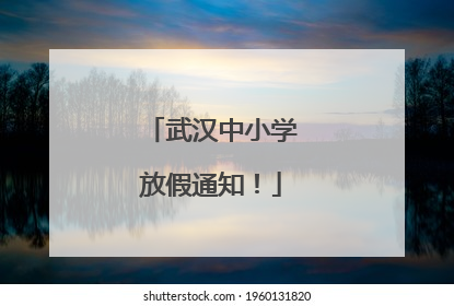 武汉中小学放假通知！
