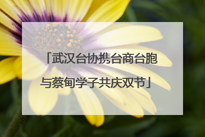 武汉台协携台商台胞与蔡甸学子共庆双节