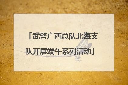 武警广西总队北海支队开展端午系列活动