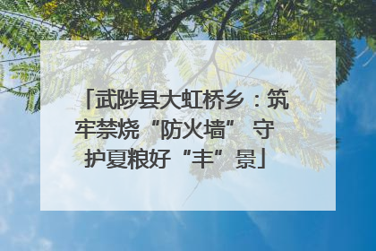武陟县大虹桥乡：筑牢禁烧“防火墙” 守护夏粮好“丰”景