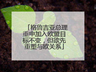 格鲁吉亚总理重申加入欧盟目标不变，但欲先重塑与欧关系