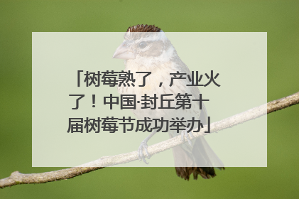 树莓熟了,产业火了!中国·封丘第十届树莓节成功举办