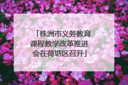 株洲市义务教育课程教学改革推进会在荷塘区召开