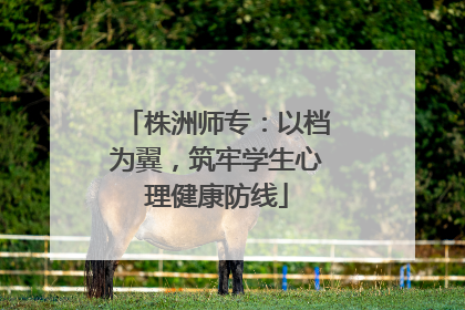 株洲师专：以档为翼，筑牢学生心理健康防线