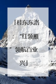桂东东洛：“红领雁”领航百业兴