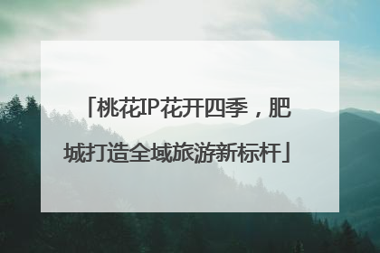 桃花IP花开四季，肥城打造全域旅游新标杆