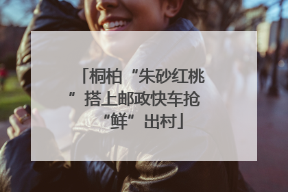 桐柏“朱砂红桃”搭上邮政快车抢“鲜”出村