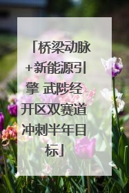 桥梁动脉+新能源引擎 武陟经开区双赛道冲刺半年目标