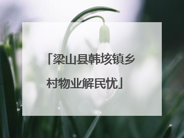 梁山县韩垓镇乡村物业解民忧