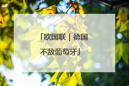 欧国联｜德国不敌葡萄牙