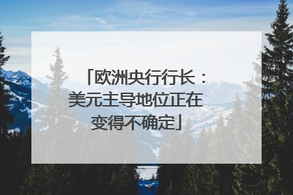 欧洲央行行长：美元主导地位正在变得不确定