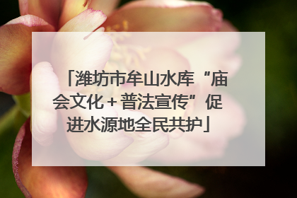 潍坊市牟山水库“庙会文化＋普法宣传”促进水源地全民共护