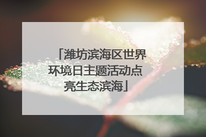 潍坊滨海区世界环境日主题活动点亮生态滨海
