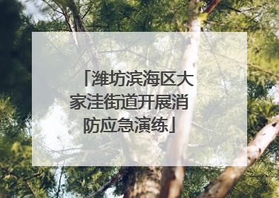 潍坊滨海区大家洼街道开展消防应急演练