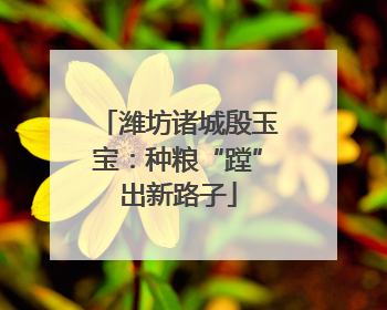 潍坊诸城殷玉宝：种粮“蹚”出新路子